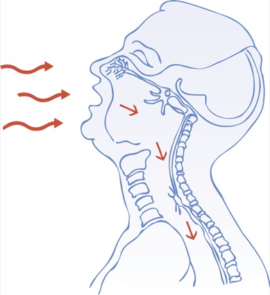 Current Concepts In the Management of The Difficult Airway | Anesthesia Experts